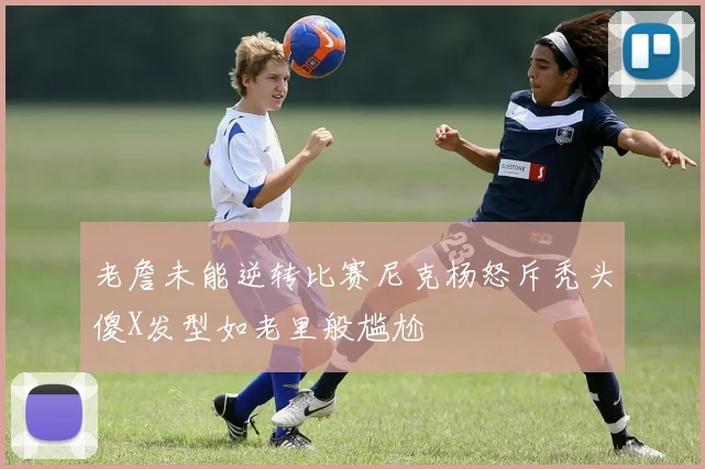 老詹未能逆转比赛尼克杨怒斥秃头傻X发型如老里般尴尬
