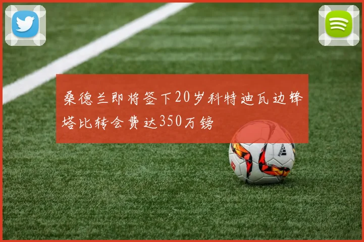 桑德兰即将签下20岁科特迪瓦边锋塔比转会费达350万镑