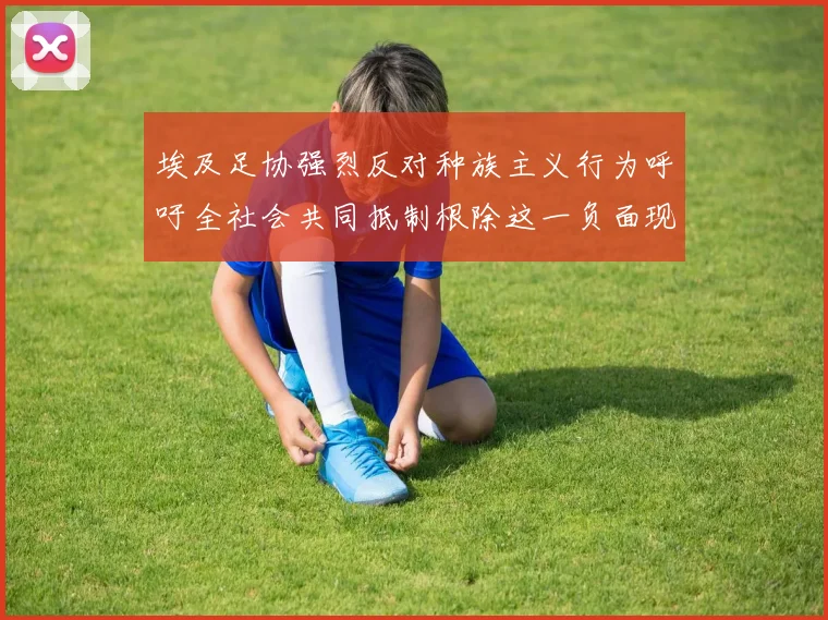 埃及足协强烈反对种族主义行为呼吁全社会共同抵制根除这一负面现象