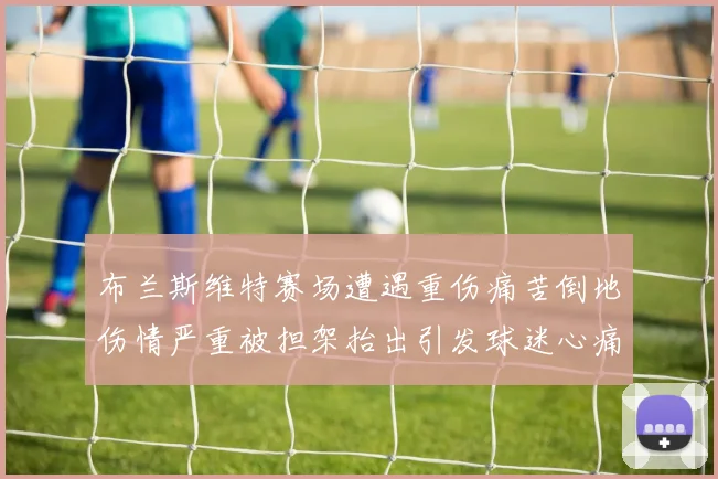 布兰斯维特赛场遭遇重伤痛苦倒地伤情严重被担架抬出引发球迷心痛